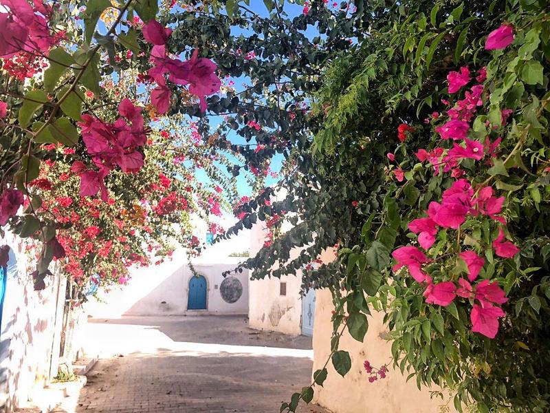 تونس بدون گل های کاغذی زیبا نیست