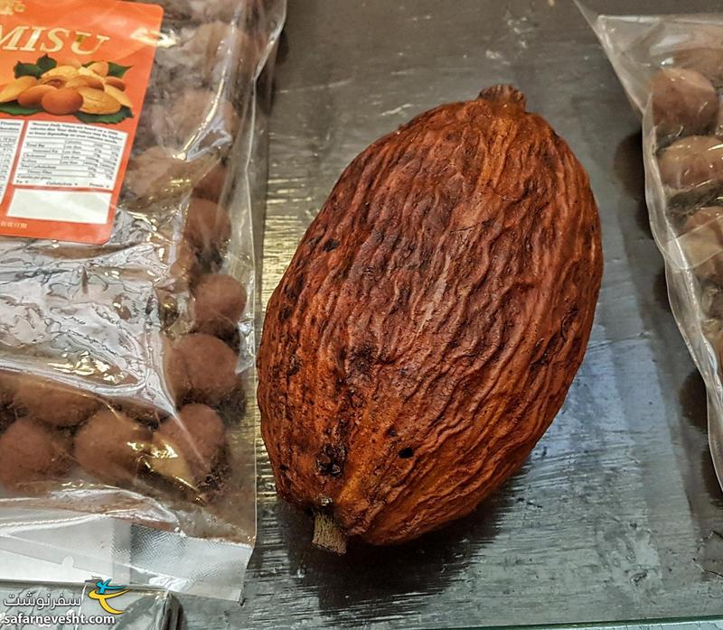 میوه اصلی کاکائو